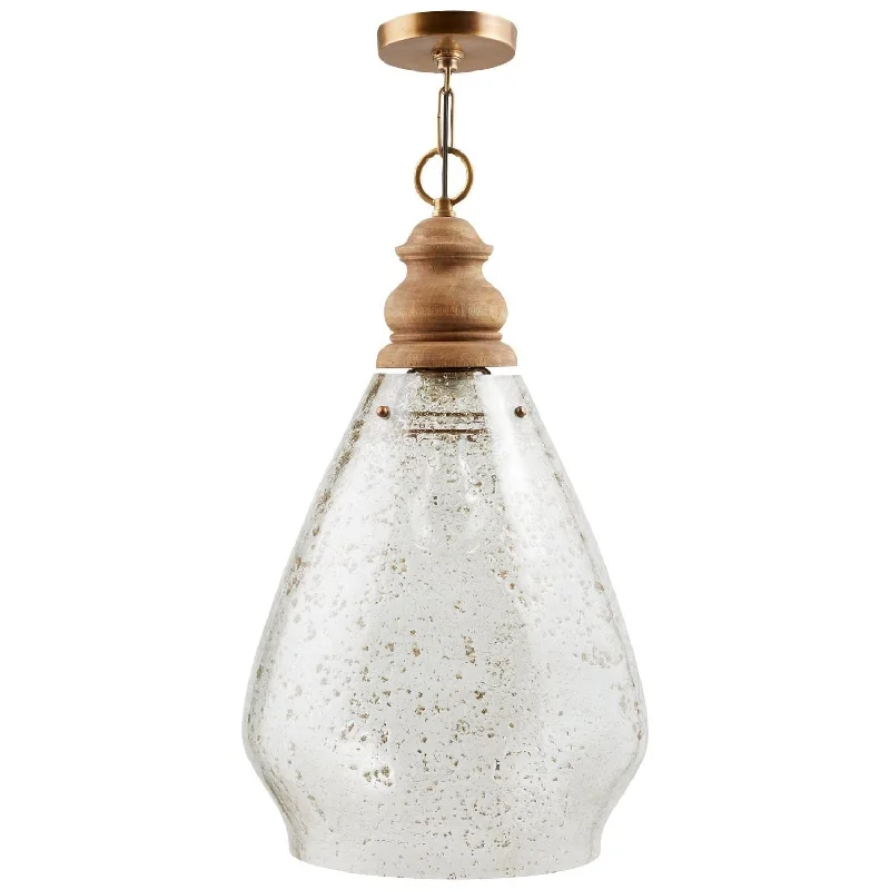 Track lighting for photography studiosJuniper 1-Light Pendant